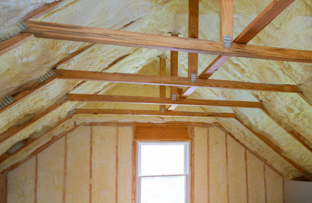 Best Residential Insulation in Holly Hill, FL