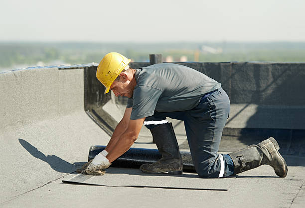 Best Insulation Maintenance and Repair in Holly Hill, FL